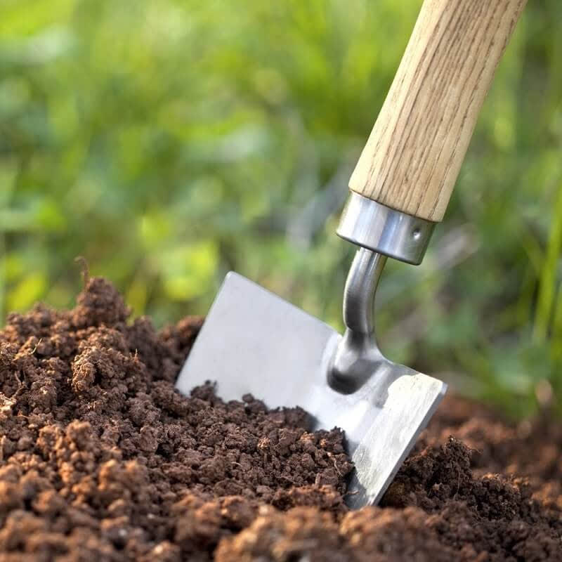 شگفتی های آفرینش-توحید مفضل-منزلت-مکانت