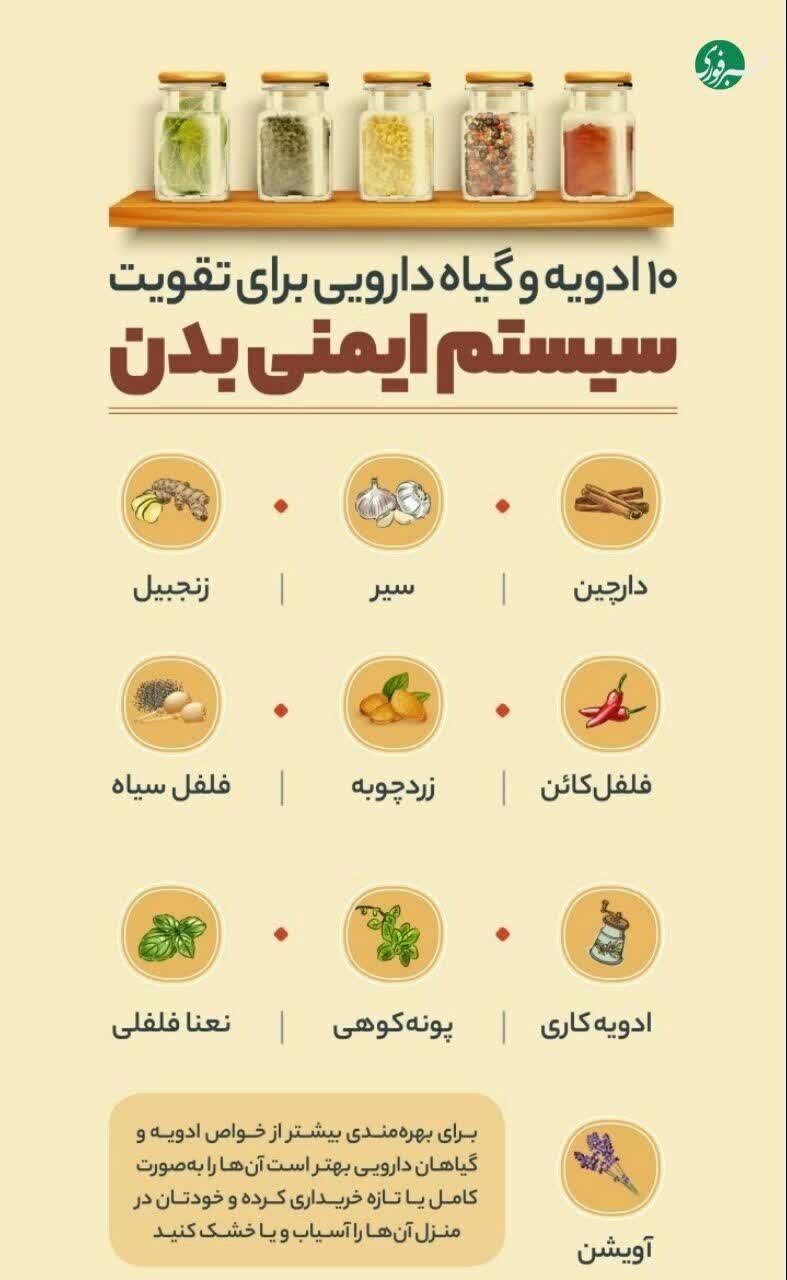 سلامت و درمان-سیستم ایمنی-گیاه دارویی