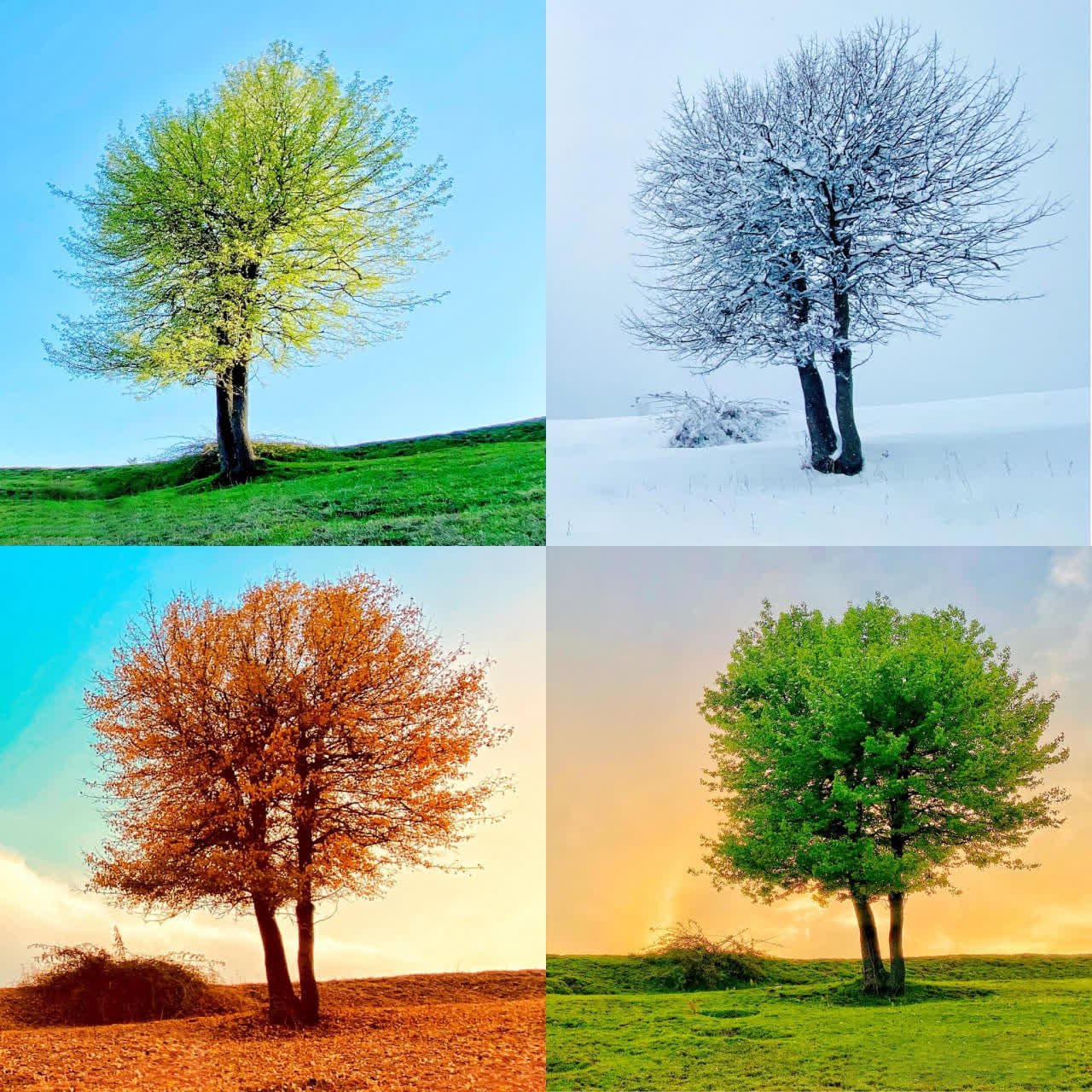 شگفتی های آفرینش-توحید مفضل-فصلهای سال