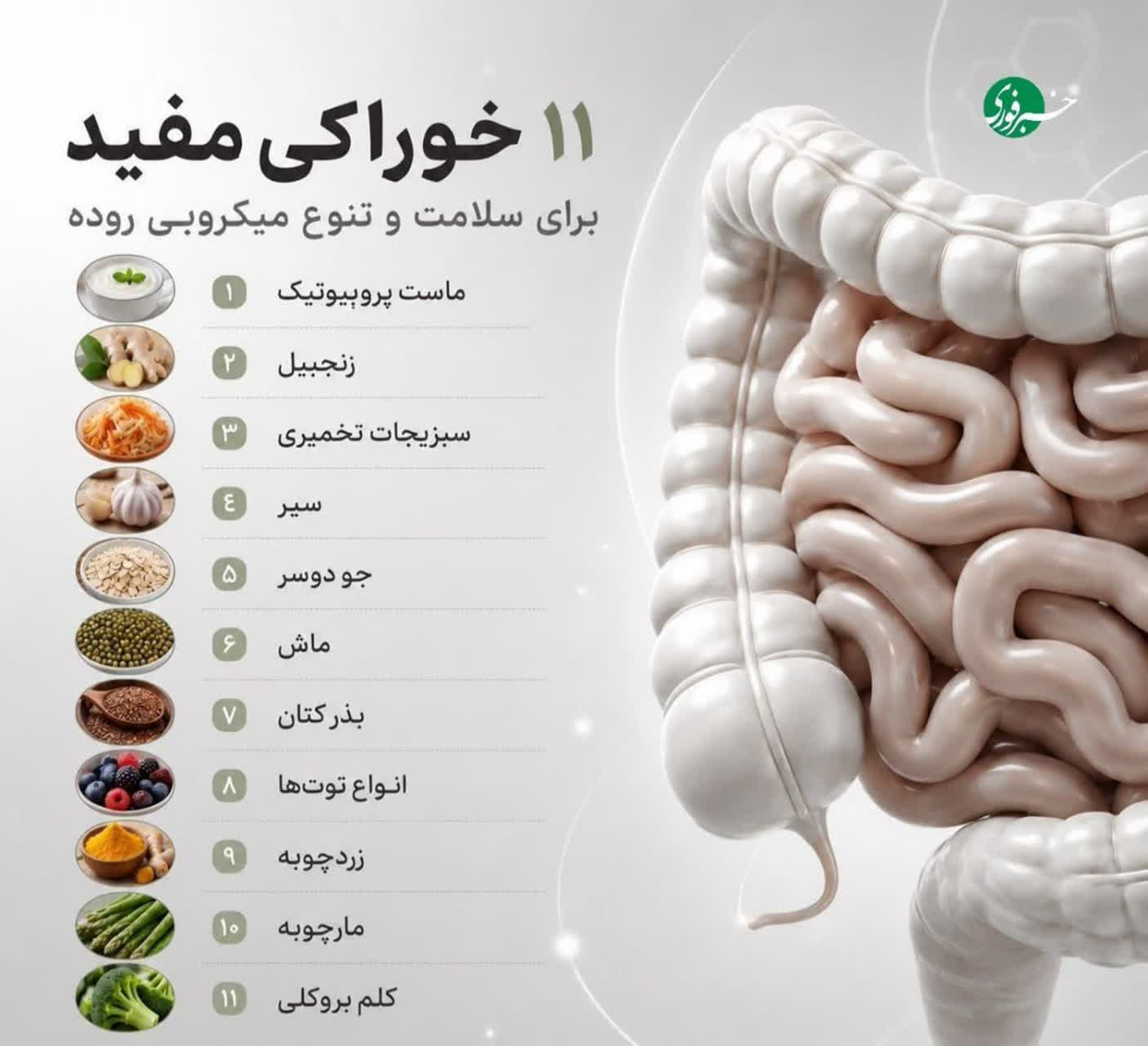 سلامت و درمان-روده