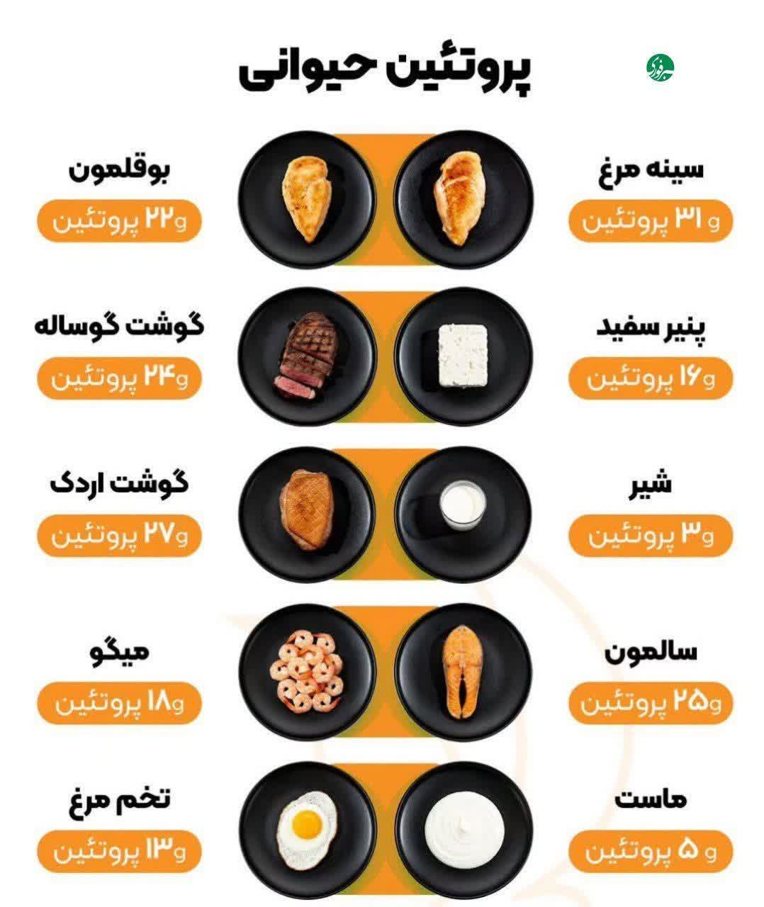 سلامت و درمان-پروتئین