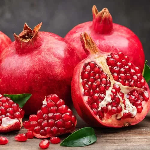 شگفتی های آفرینش-توحید مفضل-انار