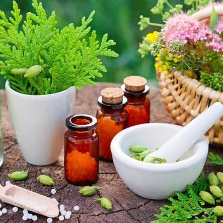 شگفتی های آفرینش-توحید مفضل-گیاهان