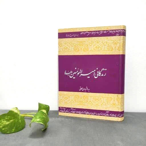 معرفی کتاب-تاریخ-امام علی (ع)